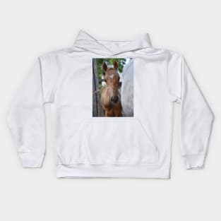 TB COLT Kids Hoodie